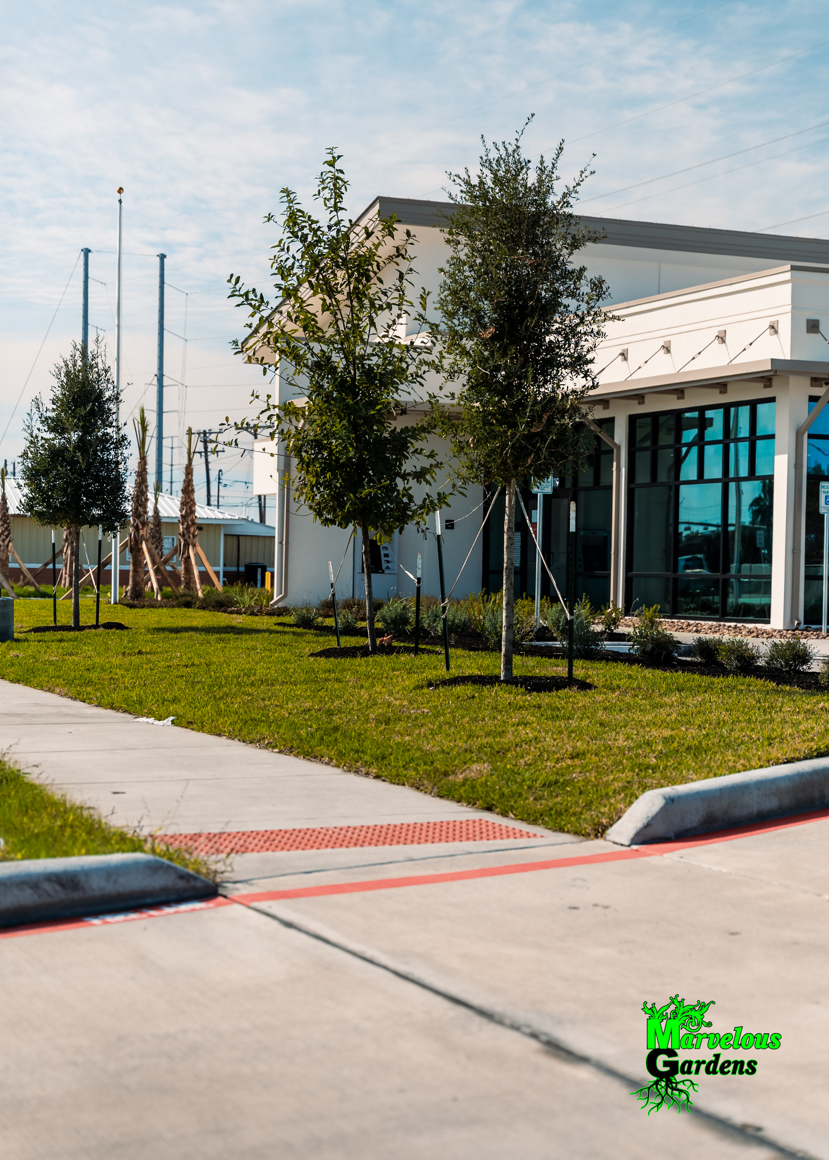 Home Banner Background Image