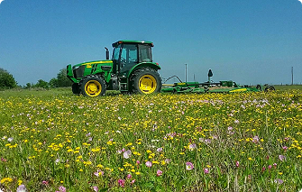 Lawn Care & Landscaping