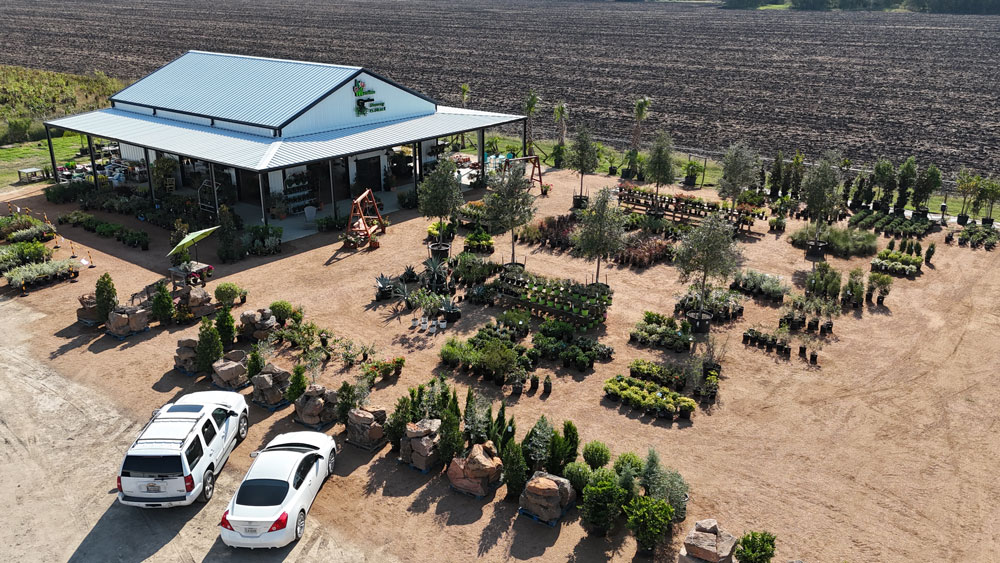 Floral, Plant and Garden