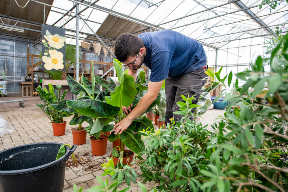 Floral, Plant and Garden