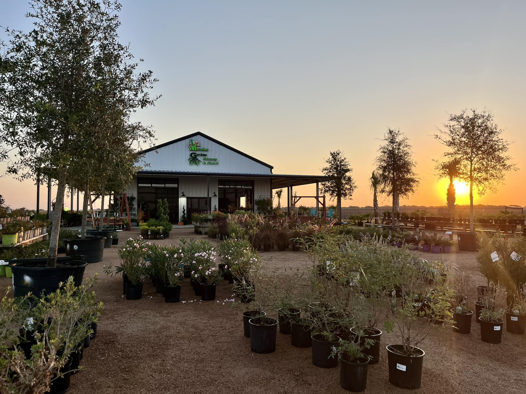 Floral, Plant and Garden
