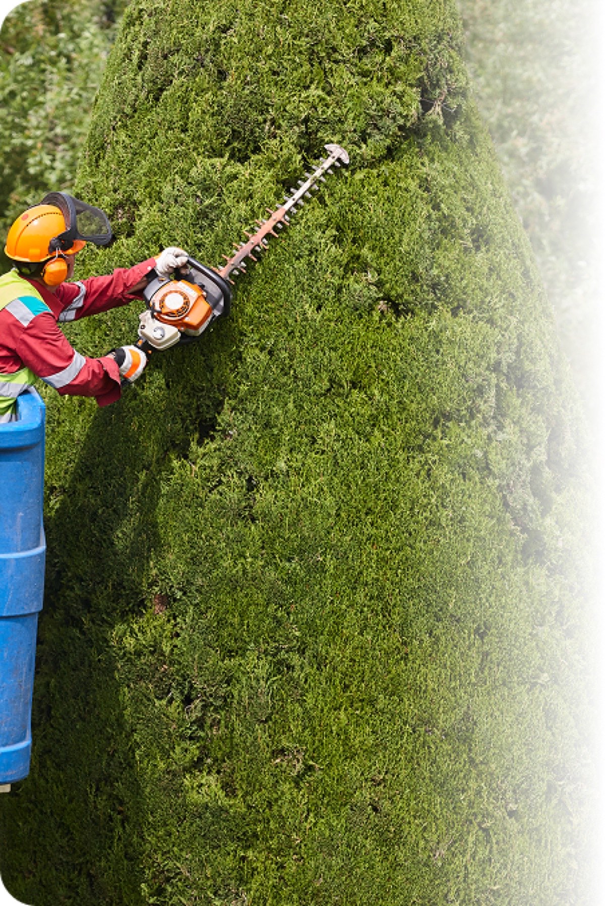 Lawn Care & Landscaping